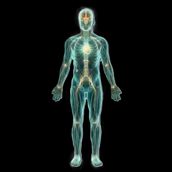 Prana Cellular Energy Body Avatar
